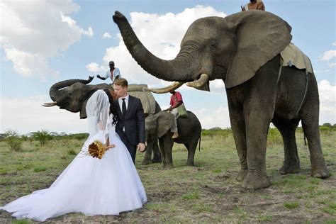 Последние твиты от wedding gallery zimbabwe (@weddinggallery9). Pin on wedding ideas