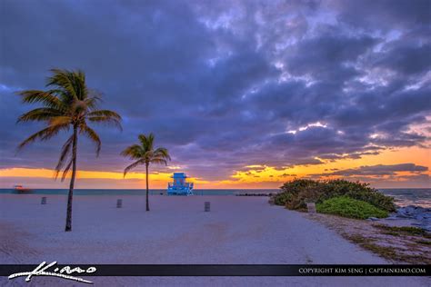 Maybe you would like to learn more about one of these? Haulover Park Florida Coconut Tree and Lifeguard Tower ...