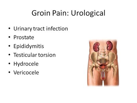 If this does not clarify this, ultrasound of the scrotum/testes area can do it. Groin Pain Steven Tippett 2042