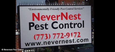 There are myriads of pest control methods that can totally eliminate pest infestations. Nevernest Pest Control, Environmentally Friendly Pest ...