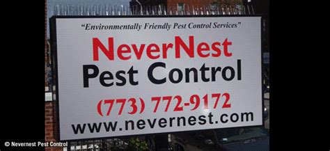 There are myriads of pest control methods that can totally eliminate pest infestations. Nevernest Pest Control, Environmentally Friendly Pest ...