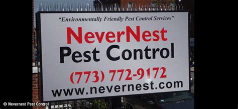 The most common signals that you have rats around are bite marks on wires or clothes. Nevernest Pest Control, Environmentally Friendly Pest ...