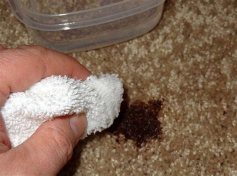 Teppiche sind neben einer gemütlichen couch oder einem behaglichen bett, ästhetischen möbeln und dekorativen bildern aus einem wohnlichen zimmer nicht mehr wegzudenken. Mit diesem Trick Flecken vom Teppich entfernen.