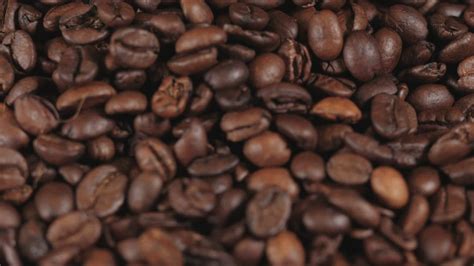 The coffee bean and tea leaf job opportunities. Coffee beans falling in reverse - Free Stock Video - Mixkit