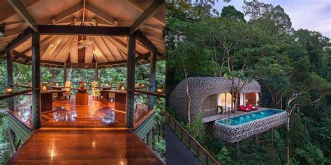 The best you can do in this situation is acknowledge it and decide whether you can live with it. Treehouse hotels - Treehouses you can actually stay in