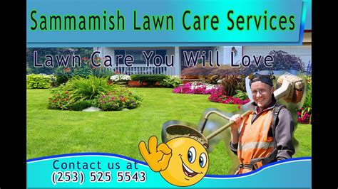 Allyn hane is the lawn care nut on youtube. SAMMAMISH LAWN CARE Affordable Lawn Care - YouTube