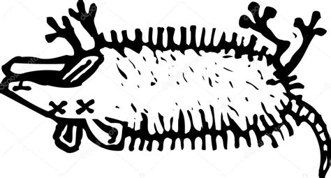 Pictures: roadkill cartoon | Vector Illustration of Dead ...