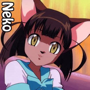 After all, it is impossible to list all the amazing anime that break records of popularity. Neko | What Anime Girl Stereotype are you? - Quiz