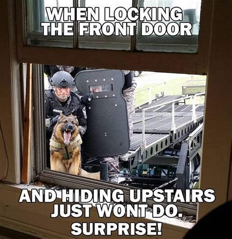 288 likes · 24 talking about this. K9 - You can run but you can't hide! | Military working ...