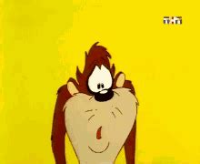 Imamo 47 gif taz, tasmanian devil (looney tunes) u gifmania.com.hr. Taz GIFs | Tenor