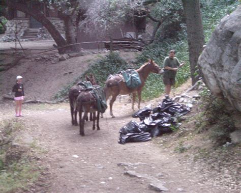 Check spelling or type a new query. Sturtevant Falls Trail