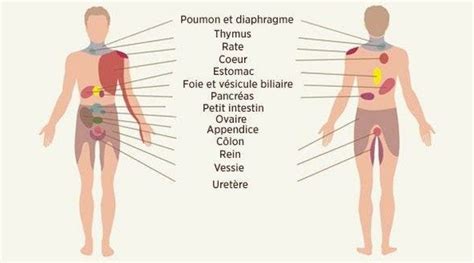 Bonjour depuis 2 semaine j'ai mal au coter gauche de ma gorge et j'ai du mal a avaler ma mère ma dis que jetait gonflé,et elle ma conseillé. 9 douleurs qui peuvent révéler des maladies