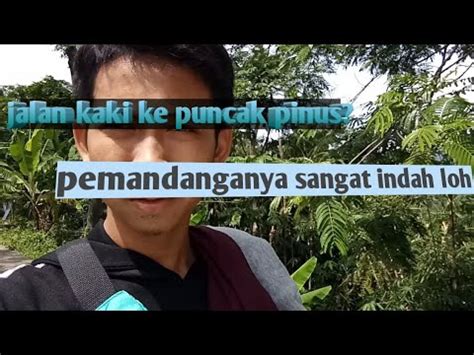 Tidak seperti kebanyakan tempat wisata yang telah dibahasa, hutan pinus puncak jahim ciamis. Jalan ke puncak pinus loji KARAWANG!! - YouTube