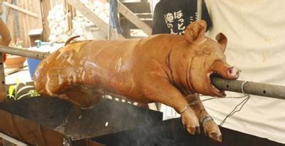 Hatsune miku and kagamine rinkaito (commentary). 「おいしい豚の丸焼きの作り方。焼く、これだけ。」 - 子豚へ ...