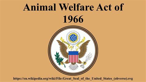 Start studying animal welfare act. Animal Welfare Act of 1966 - YouTube