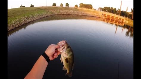 The warmer the water, the hungrier bass get, and they can be caught by savvy anglers who know where to look and what bait to use. A Hot Day Bass Fishing! - YouTube