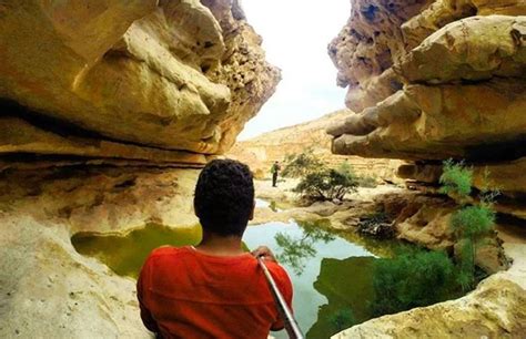 على الجانب الآخر يُعاني فريق وادي دجلة هذا الموسم حيث يتواجد في المركز السابع عشر (قبل الأخير) بجدول الترتيب برصيد 23 نقطة، جمعهم من 27 مباراة، حقق الفوز في 4 مباريات فقط. تعرف على الأضرار التي تعرضت لها وادي دجلة والغابة المتحجرة ...