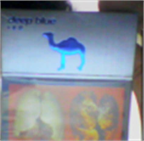 camel deep blue - uludağ sözlük