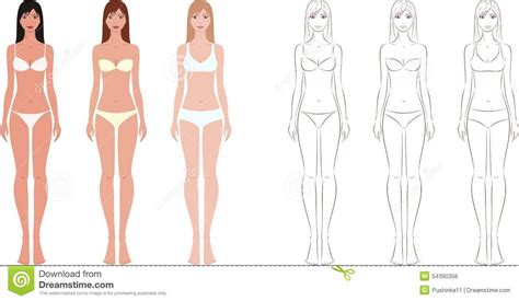 75 transparent png illustrations and cipart matching woman body. Fashion female figure stock vector. Illustration of ...