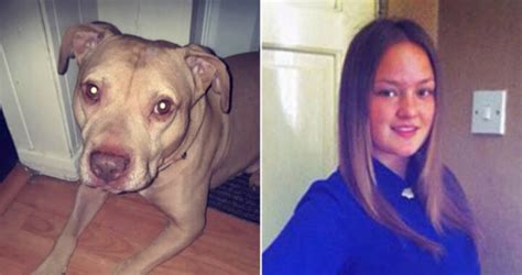 La ragazza, volontaria presso un'associazione che si occupa dello «stallo» di cani di razza lupo o che hanno avuto problemi comportamentali è assistita dai legali luca polita e dante libbra. Ragazza di 25 anni attaccata e uccisa dal cane di famiglia ...