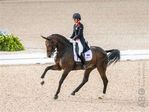 We all love to watch charlotte dujardin ride the grand prix centerline and work her magic with a dressage horse. Mount St John Freestyle vermorzelt pr in kür, Dujardin ...