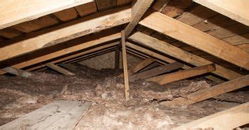 Termites and carpenter ants are, in fact, responsible for a large chunk of residential pest control house calls each year. Why Water In Your Crawl Space Is A Big Deal | New Leaf ...