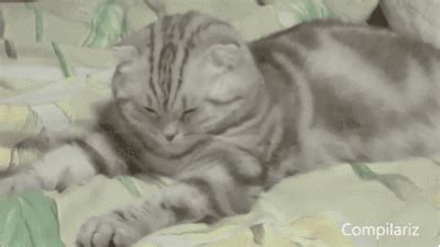 16 aug 2014 what about getting back to sleep after waking for a pee. The first thing you want to do after waking up on the ...