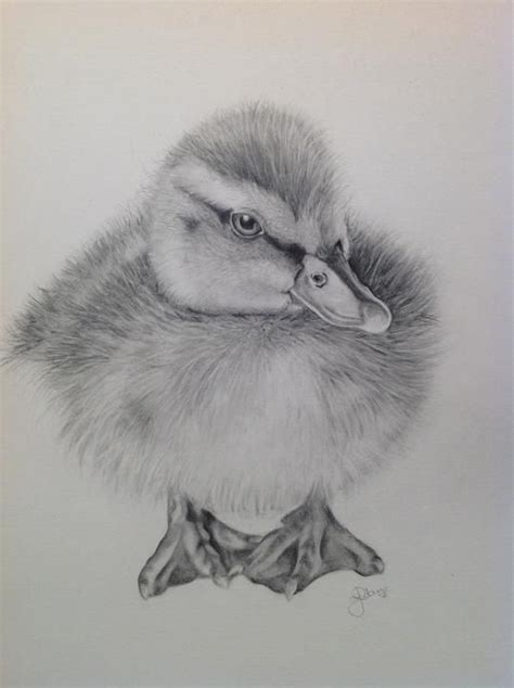 Landscape sketch sketches lovers art art drawings painting charcoal paint original landscape charcoal drawing landscape drawings. Duckling | Pencil, Pen & Ink, Pastel, Charcoal I Board II ...