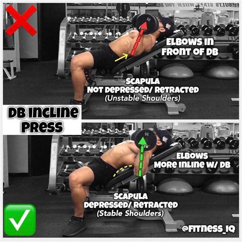 Check spelling or type a new query. How to Incline Barbell & Dumbbell Bench Press | Exercise ...