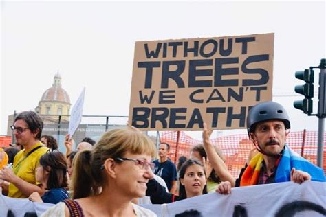 Orari di apertura, recensioni, numero di telefono. Amazzonia in fiamme, la protesta di Fridays for Future ...