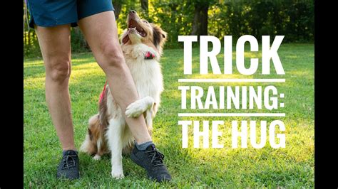 Maybe you would like to learn more about one of these? Dog Training Trick Tutorial: How To Teach Your Dog To Hug ...