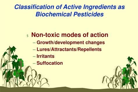 2 pest detection and identification. PPT - Office of Pesticide Programs Biopesticides and ...