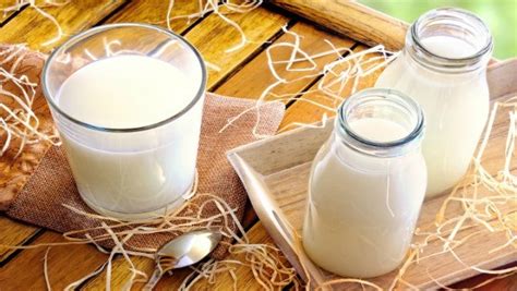 What vitamins are good for your joints. Top 10 foods good for bones and joints