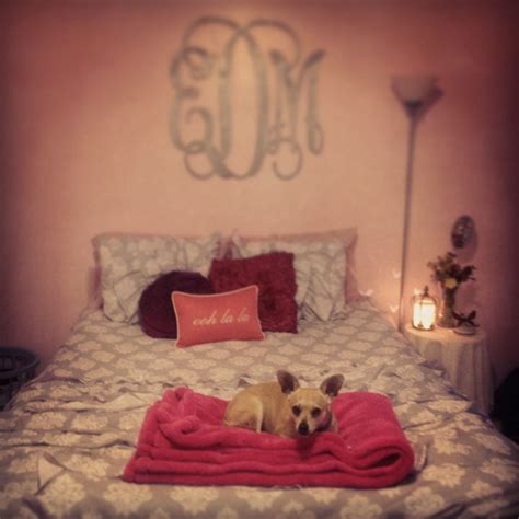 Cardinal cribs, llc and c & m property. College bedroom (minus the dog!) | College bedroom, Dorm ...