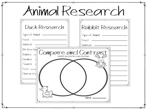 Book common core standard opinion writing activities fun! Primary Graffiti: Duck Rabbit {A Point of View Companion}