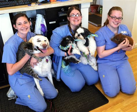 Family pet hospital is relationship focused vet practice serving clovis, fresno, sanger, and surrounding areas. Some of our Portage staff and mascots! | Animal hospital ...