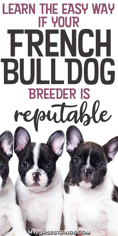 The french bulldog has the appearance of an active, intelligent, muscular dog of heavy bone, smooth coat, compactly built, and of medium or small structure. When Buying a French Bulldog Isn't So Easy | French ...