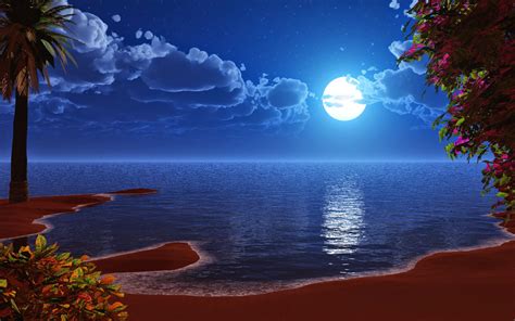 Can be used in the bedroom beautiful moon images beautiful love pictures beautiful fantasy art romantic pictures beautiful gif dark. Beauty of moonlight at night sky near sea poetic nature images