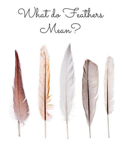 However, it can also represent other meanings such as birth, loss or luck. What Does a Feather Symbolize? | Feather meaning, Feather ...