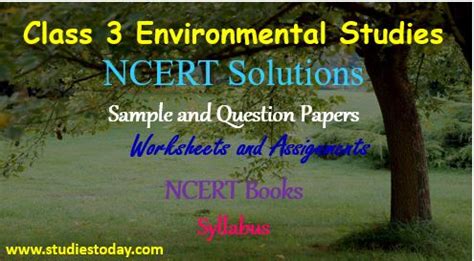 Unscramble the letters to make complete words. Class 3 Environmental Studies NCERT Solutions Sample ...