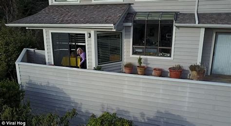 Big without her friends noticing. Woman grabs gun and shoots at nosy neighbour's drone ...