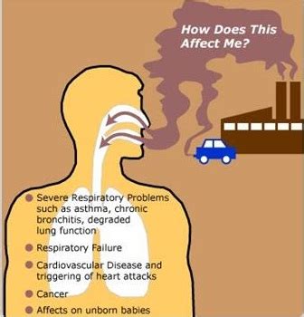 In the atmosphere these chemicals can react with other chemicals to smog is a combination of the words smoke and fog. 7 Different Types of Air Pollution And Its Causes and ...