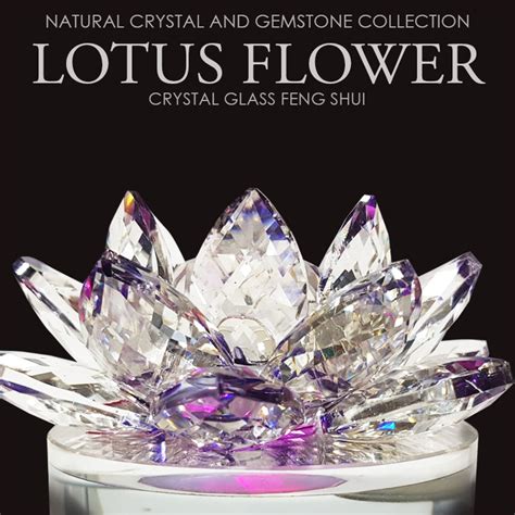 Lotus flower seeds for home planting ornamental, mixed pink & red flower, can purify water and air, aquatic plant for courtyard, hotel, goldfish pond, water lily seeds. Buy Crystal Glass Feng Shui Lotus Flower on ezbuy SG