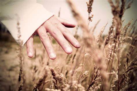 Ревматическая хорея диета Хорея. Хорея у детей. Ревматическая хорея Хорея. Хорея у детей. Ревматическая хорея Ревматическая хорея диета