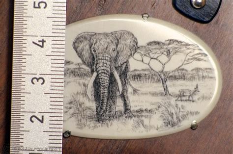 Find elephant ivory in canada | visit kijiji classifieds to buy, sell, or trade almost anything! 1000+ images about Bone, Ivory & Scrimshaw on Pinterest