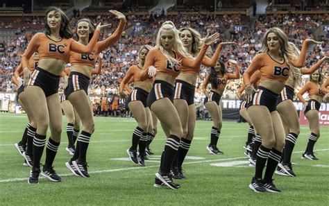 Arizona cardinals tickets are available on stubhub from $11. Felions Team - BC Lions