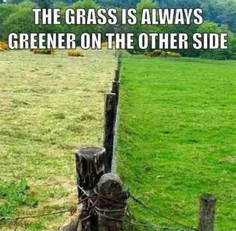 Proverb other people's circumstances or belongings always seem more desirable than one's own. The grass is always greener on the other side | Picture Quotes