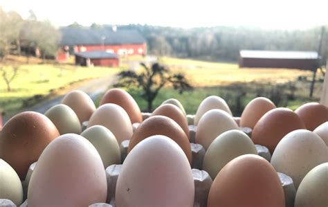 40.372 unabhängige bewertungen von hotels, restaurants und sehenswürdigkeiten sowie authentische reisefotos. Ferienhaus Schweden, Östergötland, Valdemarsvik: "Stuga ...