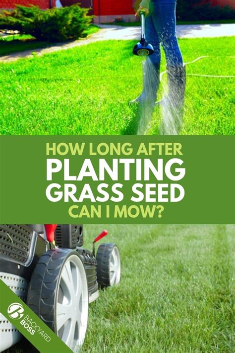 However, this is usually impossible to achieve because most of the people do not have a specific variety of grass. When Can You Mow After Planting Grass Seed? | Planting ...