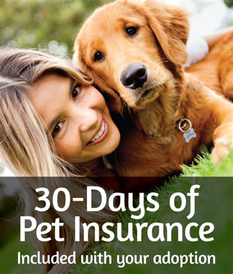 Consumersadvocate.org has been visited by 100k+ users in the past month pet_insurance - Fur-Ever Paws